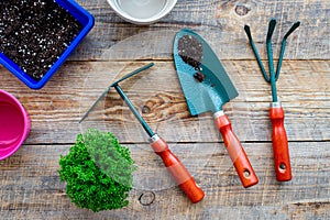 To plant flowers. Gardening tools and pots with soil on wooden background top view