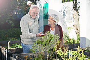 To plant a seed is to believe in tomorrow. a happy senior couple enjoying gardening together.