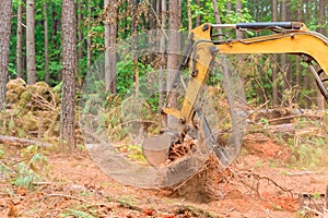 To prepare land for construction of a residential complex, excavators tractors are uprooting trees