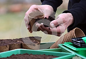 To prepare peat pots for seed sowing photo