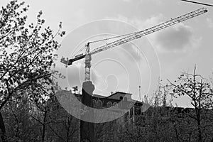 To the right and left are tree branches from the park, and in the background is construction.