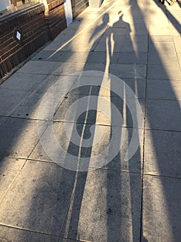 To shadows walking on a sunny sidewalk