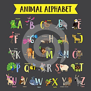 A to z animal alphabet dark background