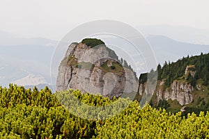 Toaca Peak (1904 m altitude), CeahlÃÆu M photo