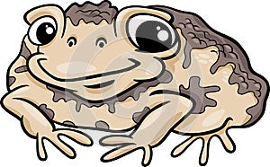 Toad amphibian cartoon illustration