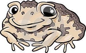 Toad amphibian cartoon illustration photo
