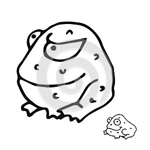 Toad anuran on a white background. Isolated vector illustration