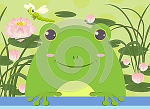 Toad on the background of water lilies with grass and dragonfly for flyers, posters, album covers, banner, background