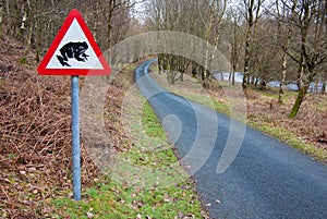 Toad Crossing road sign