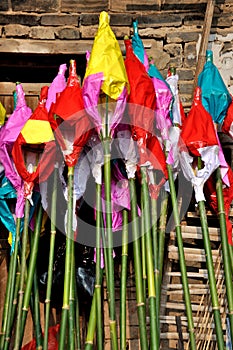 Toad Lantern on Toad Festival