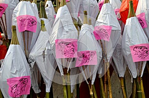 Toad Lantern on Toad Festival