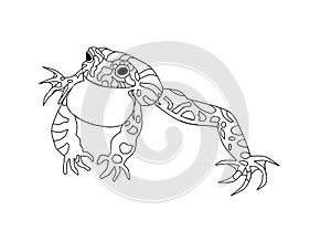 Toad singing, colouring book page uncolored