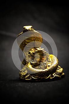 The toad and the snake. Figure talisman, helping in wealth and success