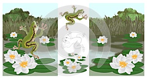 Toad in the summer on a pond with water lilies set of illustrations