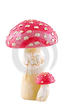 Toadstool. photo