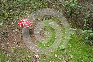 Toadstool