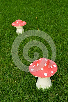 Toadstool on a green lane