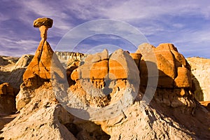 Toadstool Hoodoo