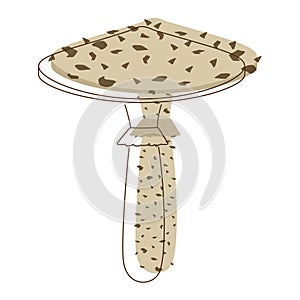 Toadstool mushroom lineart. Edible Organic mushrooms. Truffle brown cap. Forest wild mushrooms types