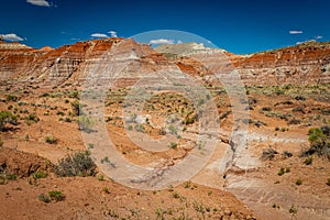 The Toadstool Trail at Grand Staircase-Escalante National Monument