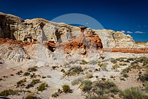 The Toadstool Trail at Grand Staircase-Escalante National Monument