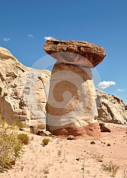 The Toadstools in Southern Utah