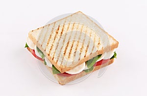 Toast bread sandwich mozzarella cheese on white background