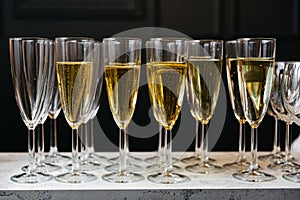 A Toast to Celebration: Wine Glasses in a Row