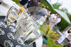 Toast to Joy: Sparkling Champagne Awaits Guests at a Garden Soiree