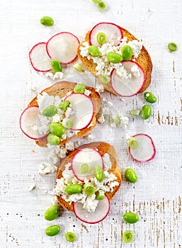 Toasted bread with cottage cheese and radish