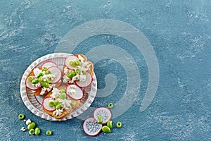 Toasted bread with radish and cottage cheese