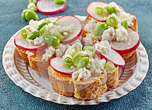 Toasted bread with radish and cottage cheese