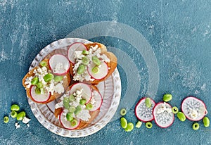 Toasted bread with radish and cottage cheese