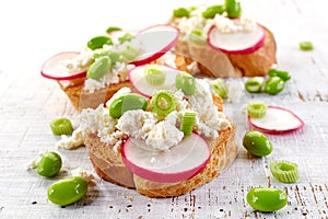 Toasted bread with radish and cottage cheese