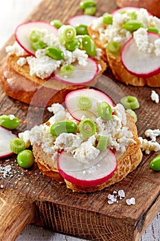 Toasted bread with radish and cottage cheese