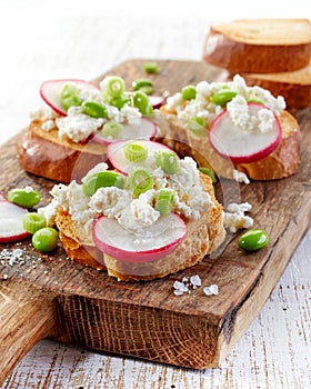 Toasted bread with radish and cottage cheese