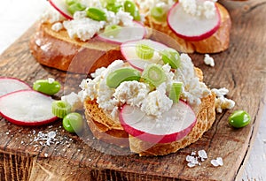 Toasted bread with radish and cottage cheese