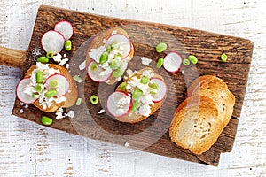 Toasted bread with radish and cottage cheese