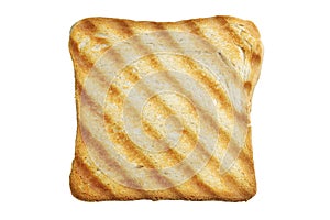 Toasted bread slice