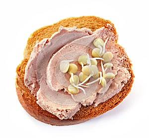 Toasted bread slice with meat pate