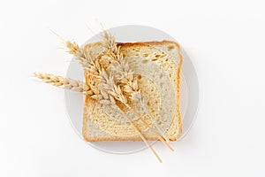 Toasted bread sliced into slices and ears of wheat on a white background.