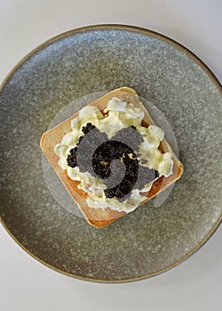 Toasted bread with tzatziki and black caviar