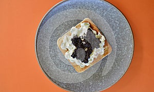 Toasted bread with tzatziki and black caviar