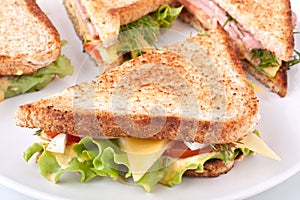 Toasted club sandwiches photo