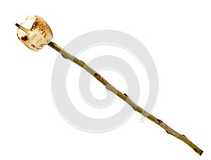 Toasted marshmallow on wooden stick