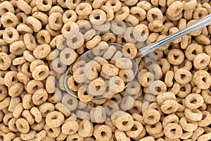 Toasted oat cereal with a spoon