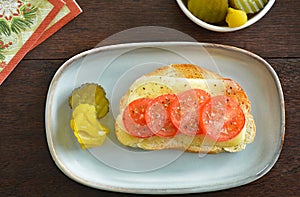 Toasted open face cheese and tomato sandwich 2
