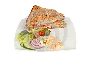 Toasted sandwich salad and coleslaw