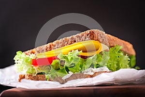 Toasted sandwich with salad leaves, tomatoes and cheese with fork on a cutting board on a green background