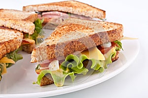Toasted sandwiches photo